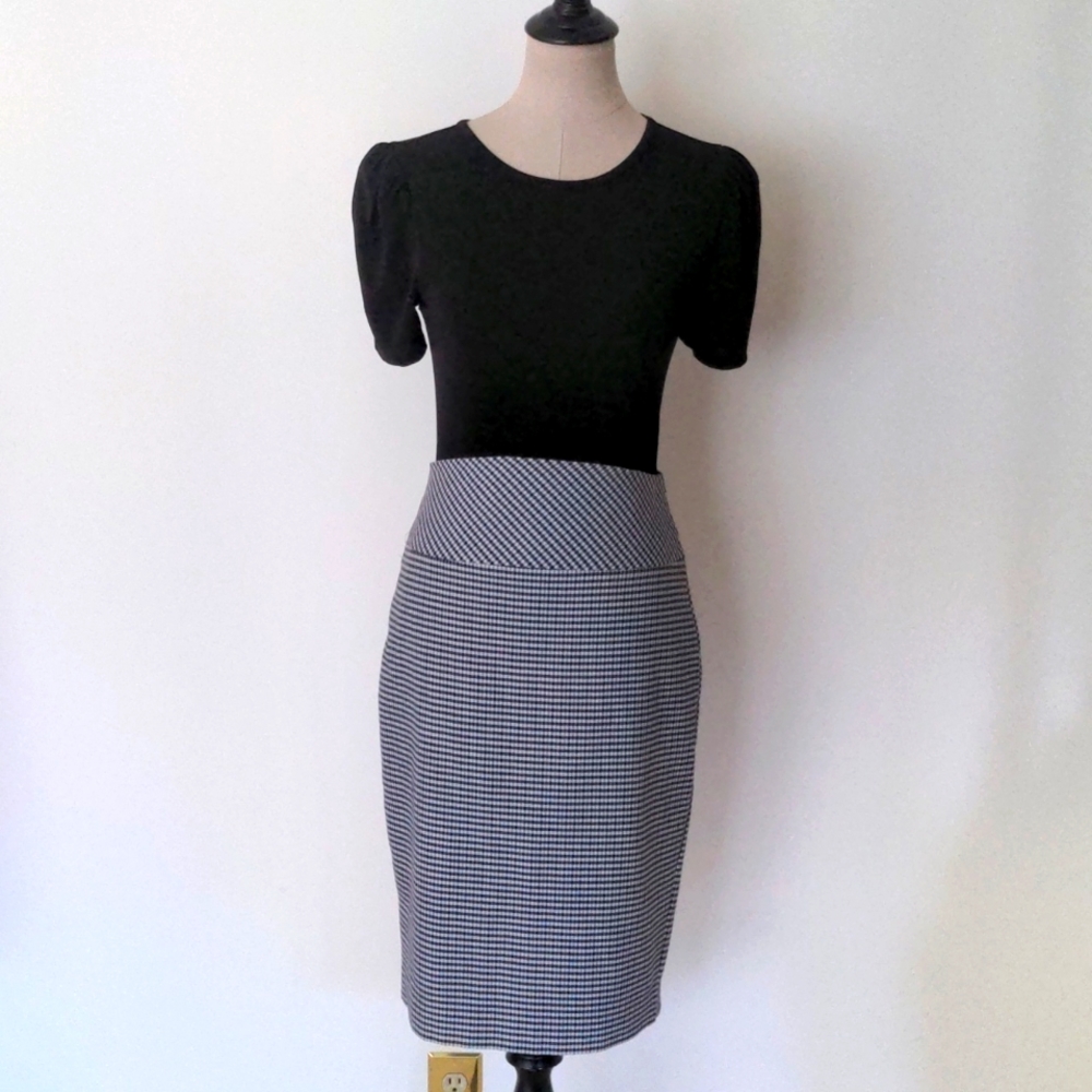 Express Skirt